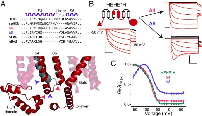 https://cdn.ncbi.nlm.nih.gov/pmc/blobs/2cac/6329955/c1afe26fdd6c/pnas.1816724116fig05.jpg