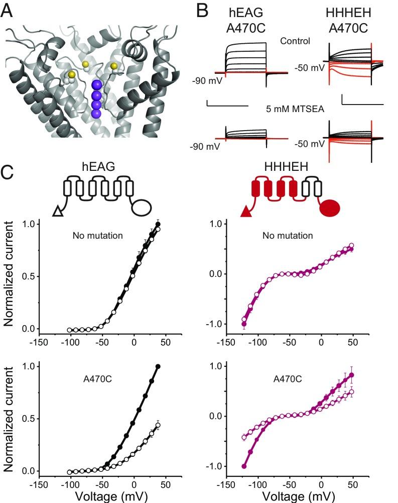 https://cdn.ncbi.nlm.nih.gov/pmc/blobs/2cac/6329955/f9d546d9a497/pnas.1816724116fig02.jpg