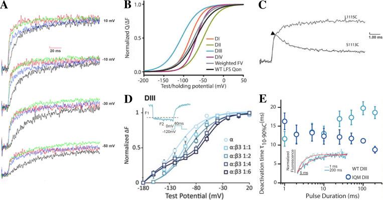 https://cdn.ncbi.nlm.nih.gov/pmc/blobs/2cac/8348240/59eec017e4f4/JGP_202112891_Fig4.jpg