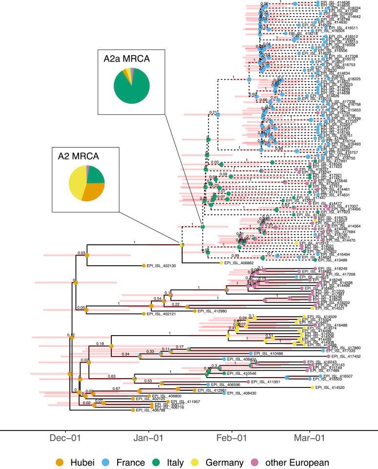https://cdn.ncbi.nlm.nih.gov/pmc/blobs/2cb9/7936359/ba7222f7d398/pnas.2012008118fig01.jpg