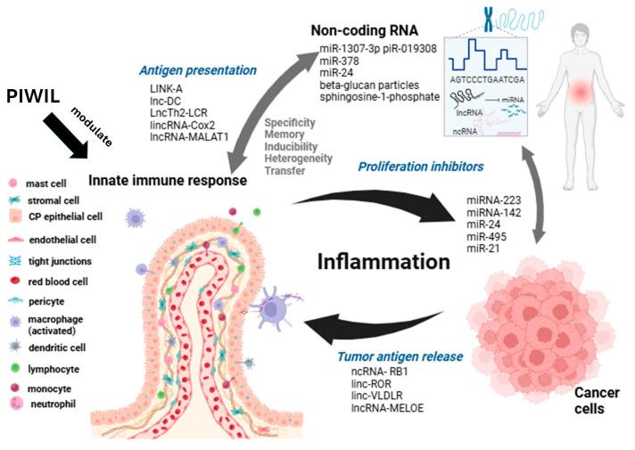 https://cdn.ncbi.nlm.nih.gov/pmc/blobs/2cc3/11429077/549ae12d555a/biomedicines-12-02072-g001.jpg