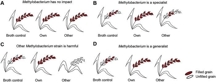 https://cdn.ncbi.nlm.nih.gov/pmc/blobs/2ccb/9431194/0b39c0ed37fc/spectrum.00810-22-f002.jpg