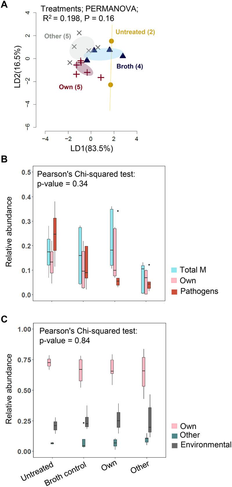 https://cdn.ncbi.nlm.nih.gov/pmc/blobs/2ccb/9431194/0cbbf5de70a1/spectrum.00810-22-f005.jpg