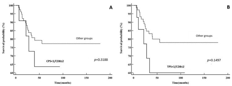 https://cdn.ncbi.nlm.nih.gov/pmc/blobs/2cde/11311265/bd25ccbb62f3/cancers-16-02645-g005.jpg