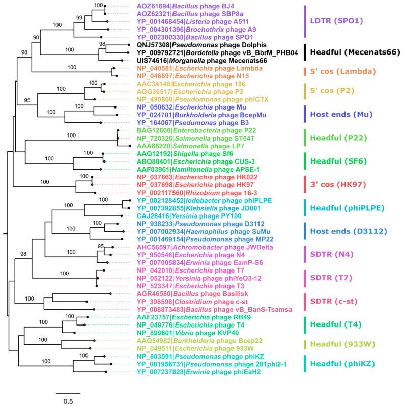 https://cdn.ncbi.nlm.nih.gov/pmc/blobs/2cec/9503643/61b3b070b599/microorganisms-10-01799-g004.jpg