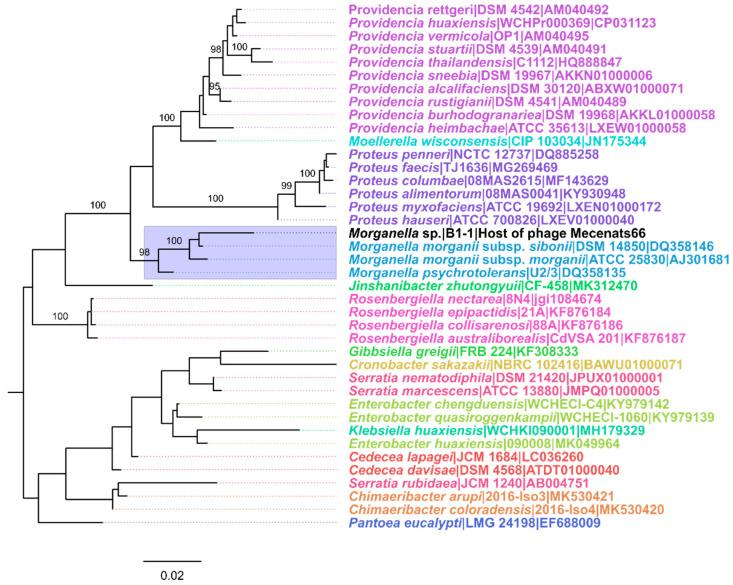 https://cdn.ncbi.nlm.nih.gov/pmc/blobs/2cec/9503643/d19d6a8d0cd3/microorganisms-10-01799-g001.jpg
