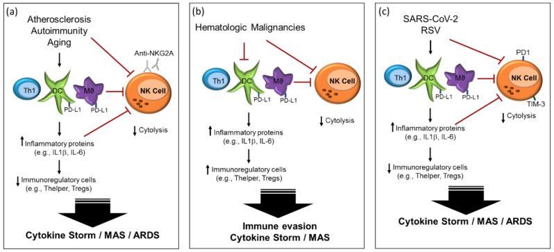 https://cdn.ncbi.nlm.nih.gov/pmc/blobs/2cee/7503862/8ce7f2150c57/ijms-21-06351-g002.jpg