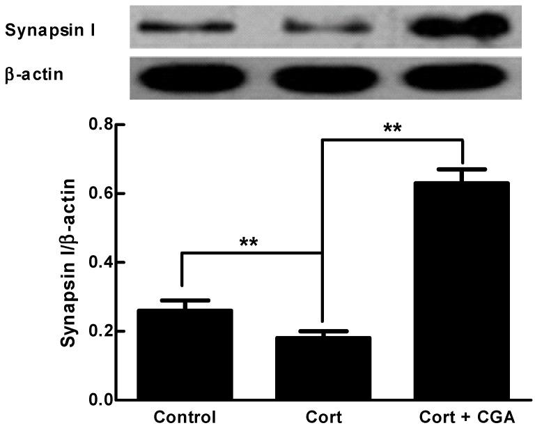 https://cdn.ncbi.nlm.nih.gov/pmc/blobs/2cfe/6274286/20284bf0a93c/molecules-21-00260-g004.jpg