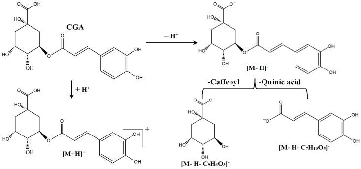 https://cdn.ncbi.nlm.nih.gov/pmc/blobs/2cfe/6274286/a79892d0efc1/molecules-21-00260-g010.jpg