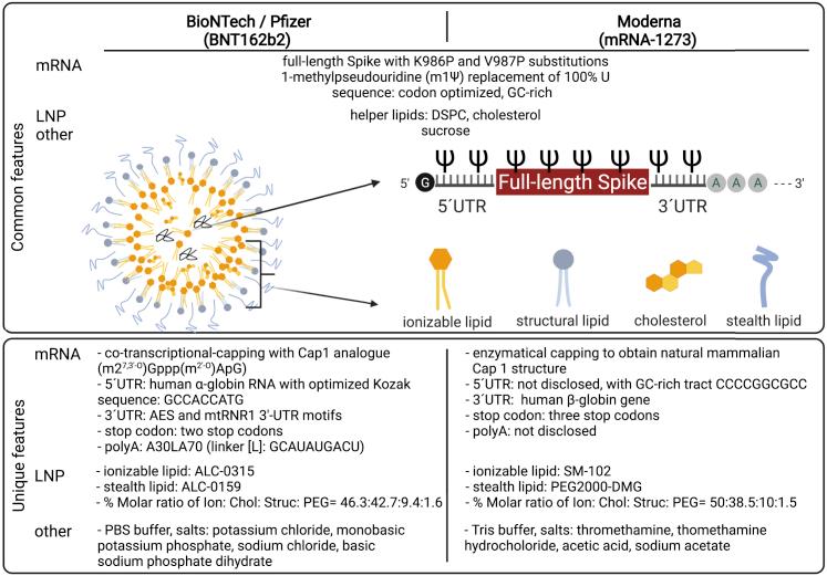 https://cdn.ncbi.nlm.nih.gov/pmc/blobs/2cff/9092392/475ff45a097d/gr2.jpg
