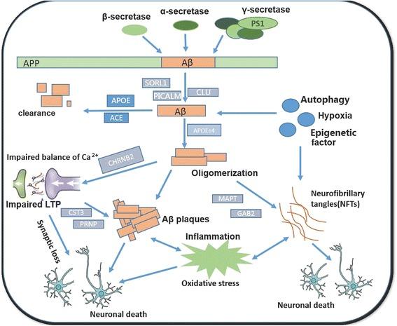 https://cdn.ncbi.nlm.nih.gov/pmc/blobs/2d0c/4869261/e264f3835c15/13024_2016_106_Fig1_HTML.jpg