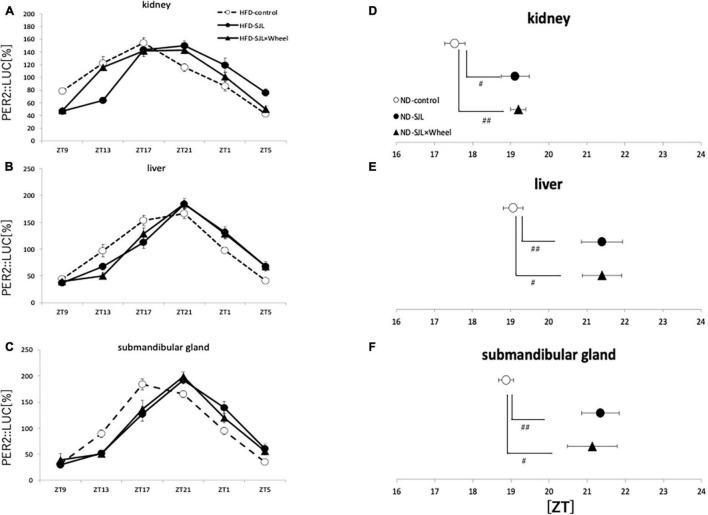 https://cdn.ncbi.nlm.nih.gov/pmc/blobs/2d1e/8890682/2d6c97f07407/fphys-13-821199-g003.jpg