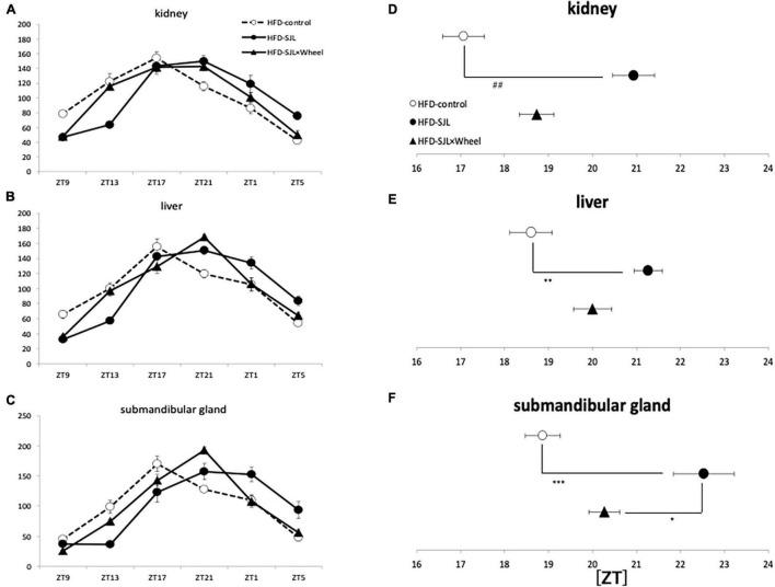 https://cdn.ncbi.nlm.nih.gov/pmc/blobs/2d1e/8890682/cd442b00ef66/fphys-13-821199-g005.jpg