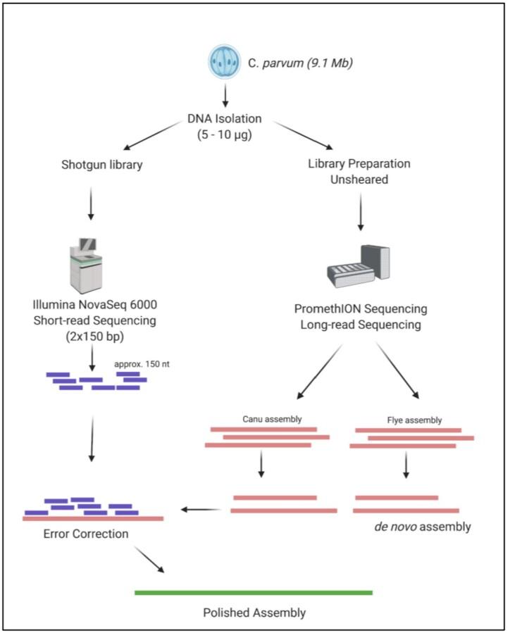 https://cdn.ncbi.nlm.nih.gov/pmc/blobs/2d23/8848321/772ce9b6dcaf/giac010fig1.jpg