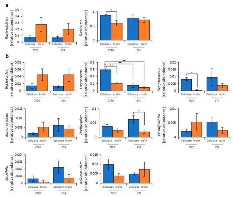 https://cdn.ncbi.nlm.nih.gov/pmc/blobs/2d2c/6893728/b955755fcd9b/nutrients-11-02802-g002.jpg