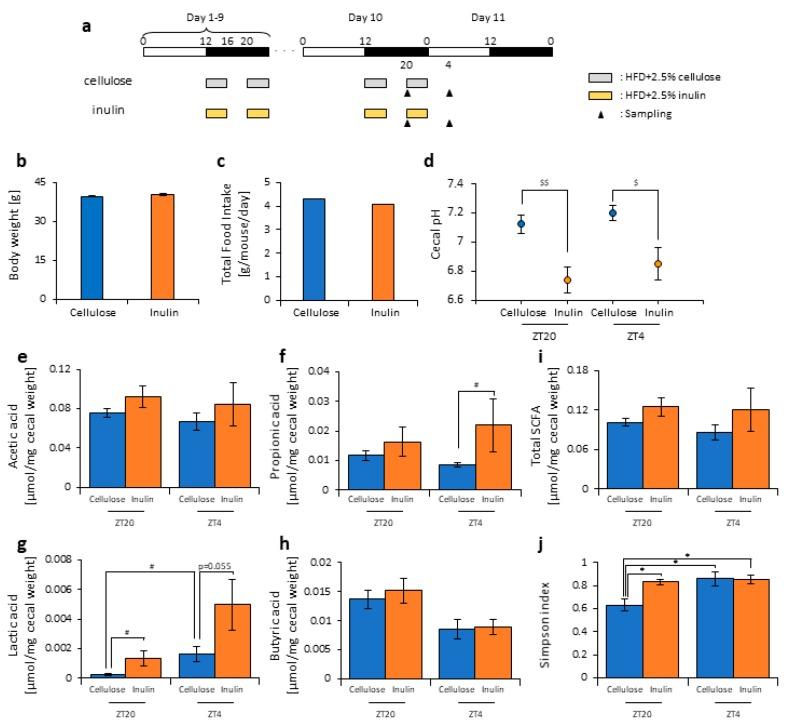 https://cdn.ncbi.nlm.nih.gov/pmc/blobs/2d2c/6893728/cd809e6012b5/nutrients-11-02802-g001.jpg