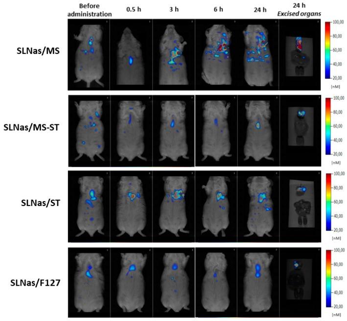 https://cdn.ncbi.nlm.nih.gov/pmc/blobs/2d7c/7153707/71c02cc2b6cc/nanomaterials-10-00568-g003.jpg
