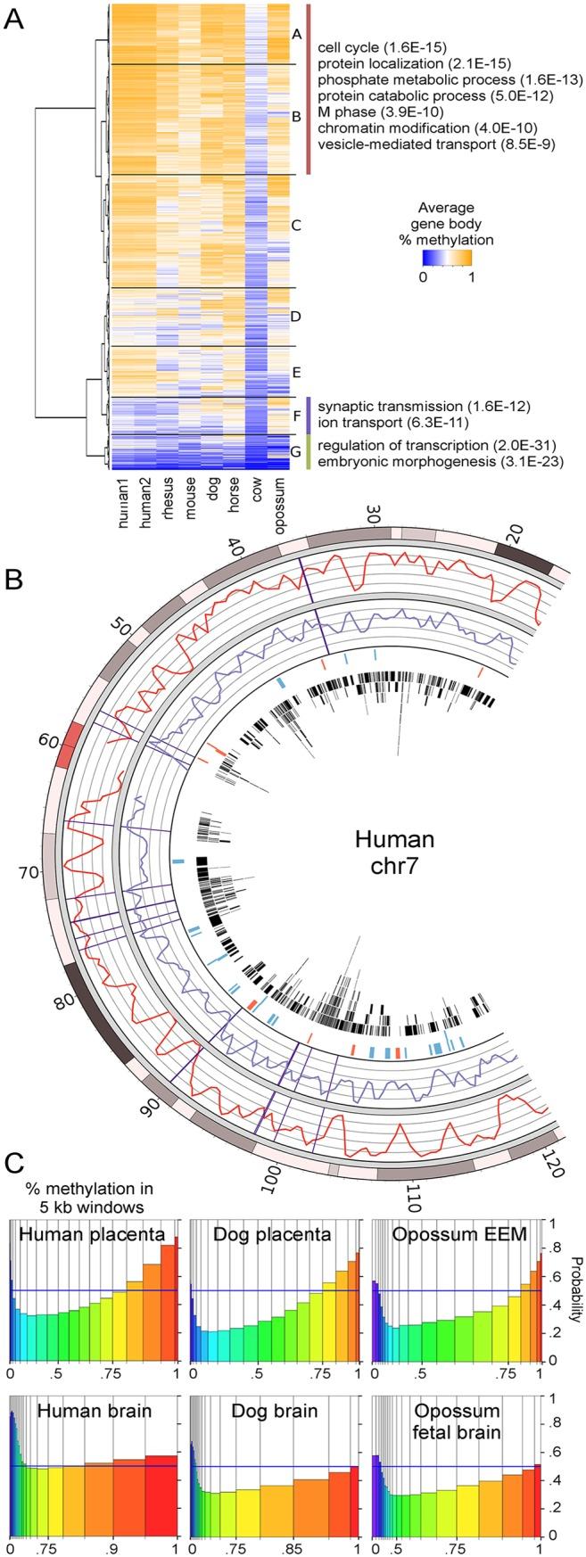 https://cdn.ncbi.nlm.nih.gov/pmc/blobs/2d7e/4524645/fde7f56ff2ed/pgen.1005442.g002.jpg