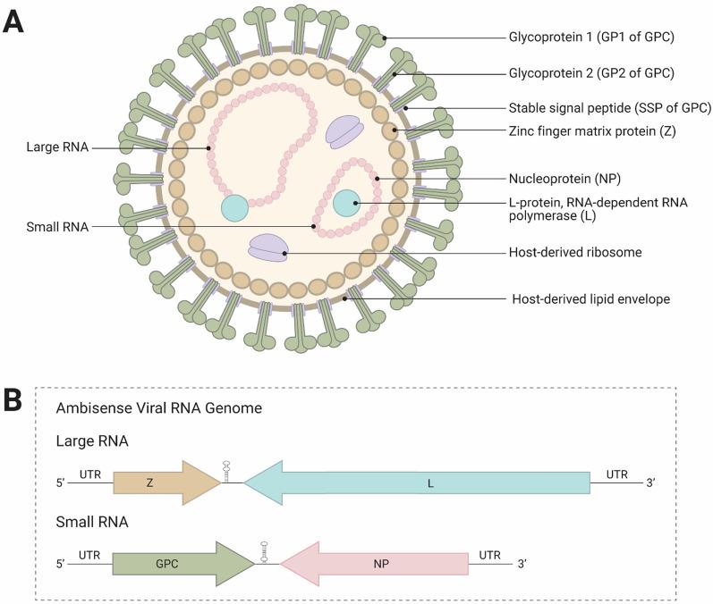 https://cdn.ncbi.nlm.nih.gov/pmc/blobs/2dc2/11869472/579970de7bfa/12985_2025_2669_Fig1_HTML.jpg