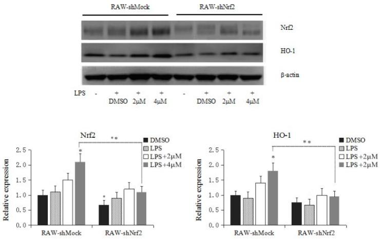 https://cdn.ncbi.nlm.nih.gov/pmc/blobs/2dc4/6273489/b3c1e4af8827/molecules-21-00975-g005.jpg