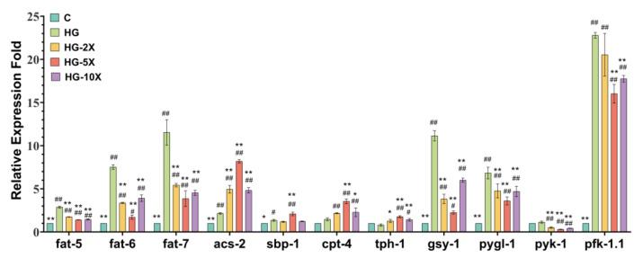 https://cdn.ncbi.nlm.nih.gov/pmc/blobs/2dce/10097305/224a470e5852/nutrients-15-01725-g005.jpg