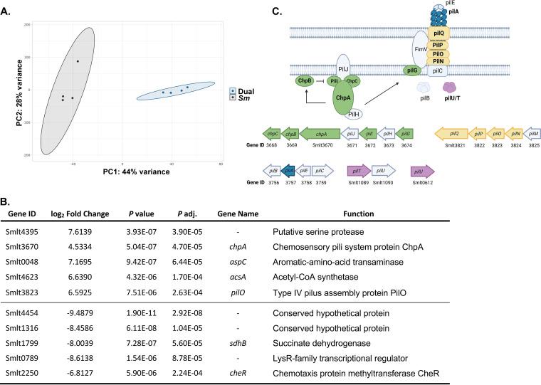 https://cdn.ncbi.nlm.nih.gov/pmc/blobs/2e09/9927254/81f80b95ce10/spectrum.03846-22-f002.jpg