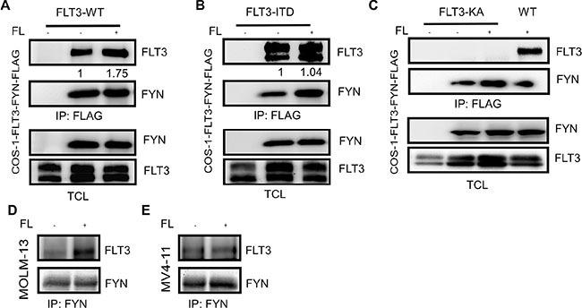 https://cdn.ncbi.nlm.nih.gov/pmc/blobs/2e0d/4891096/0d6b87a8180a/oncotarget-07-09964-g002.jpg