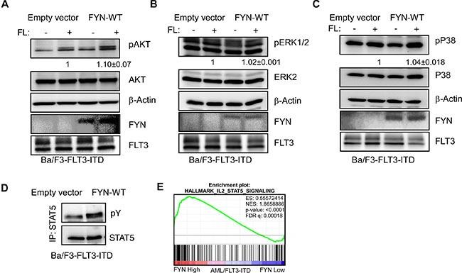 https://cdn.ncbi.nlm.nih.gov/pmc/blobs/2e0d/4891096/f96d355897d4/oncotarget-07-09964-g007.jpg