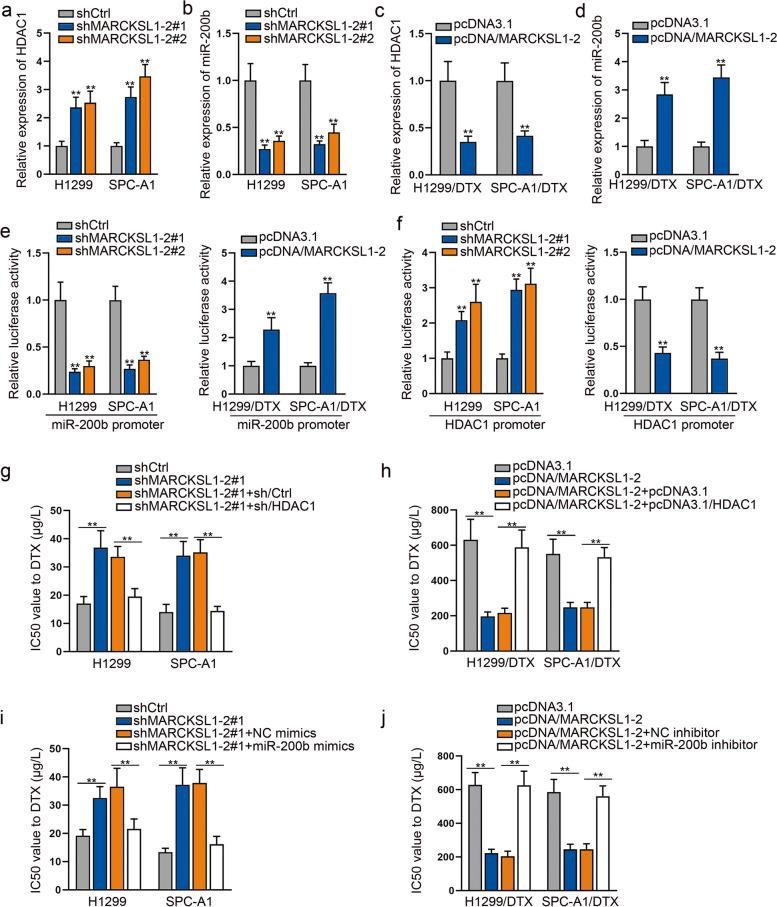 https://cdn.ncbi.nlm.nih.gov/pmc/blobs/2e0e/9306054/6e271bbdf5a0/12943_2022_1605_Fig3_HTML.jpg