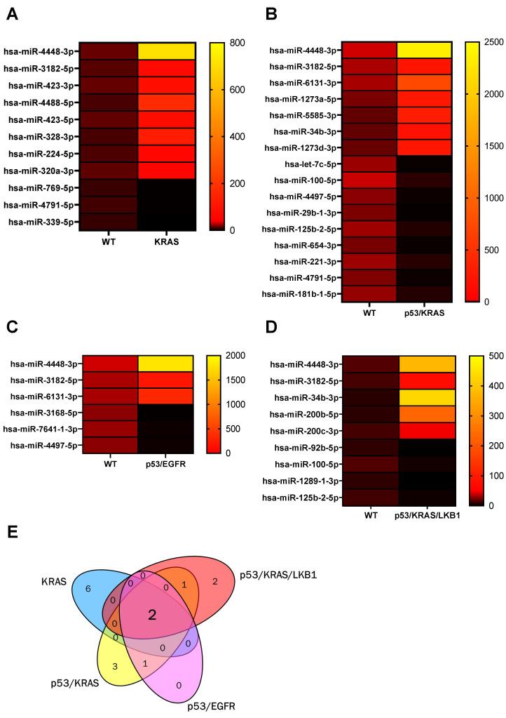 https://cdn.ncbi.nlm.nih.gov/pmc/blobs/2e14/8750562/7704cdb50ea6/cancers-14-00257-g002.jpg