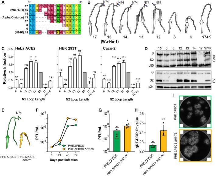 https://cdn.ncbi.nlm.nih.gov/pmc/blobs/2e1c/9535765/38607f510bed/EMBR-23-e54322-g001.jpg