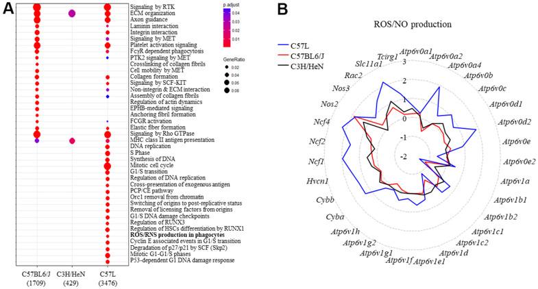 https://cdn.ncbi.nlm.nih.gov/pmc/blobs/2e23/9596223/4e75c2832a3d/aging-14-204309-g003.jpg