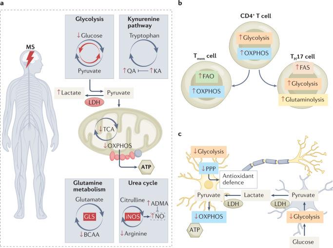 https://cdn.ncbi.nlm.nih.gov/pmc/blobs/2e35/9169033/344bfef1949f/41573_2022_477_Fig4_HTML.jpg