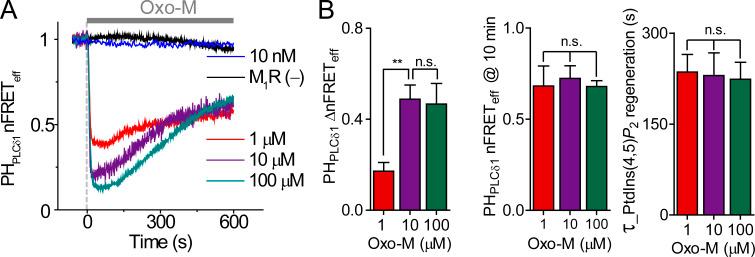 https://cdn.ncbi.nlm.nih.gov/pmc/blobs/2e36/7671494/e3eccb6c54a2/JGP_202012627_FigS2.jpg