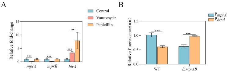 https://cdn.ncbi.nlm.nih.gov/pmc/blobs/2e3a/12113857/89fb81332645/microorganisms-13-01120-g006.jpg
