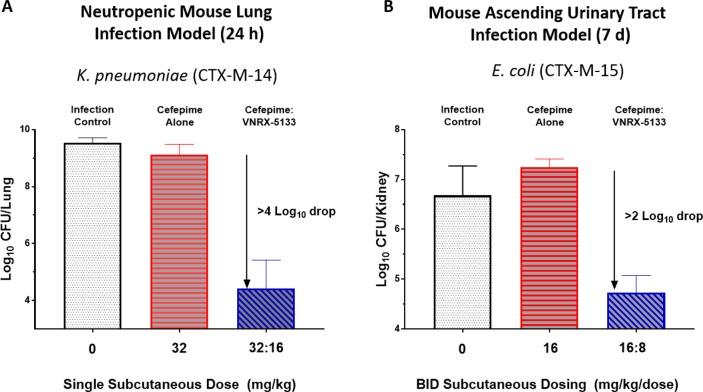 https://cdn.ncbi.nlm.nih.gov/pmc/blobs/2e40/7104248/28d338198acf/jm9b01518_0005.jpg