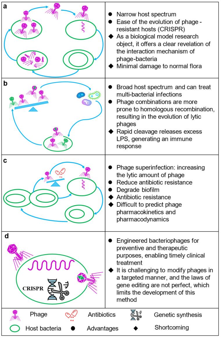 https://cdn.ncbi.nlm.nih.gov/pmc/blobs/2e4e/10215799/0bf1778f1ea4/biology-12-00681-g003.jpg