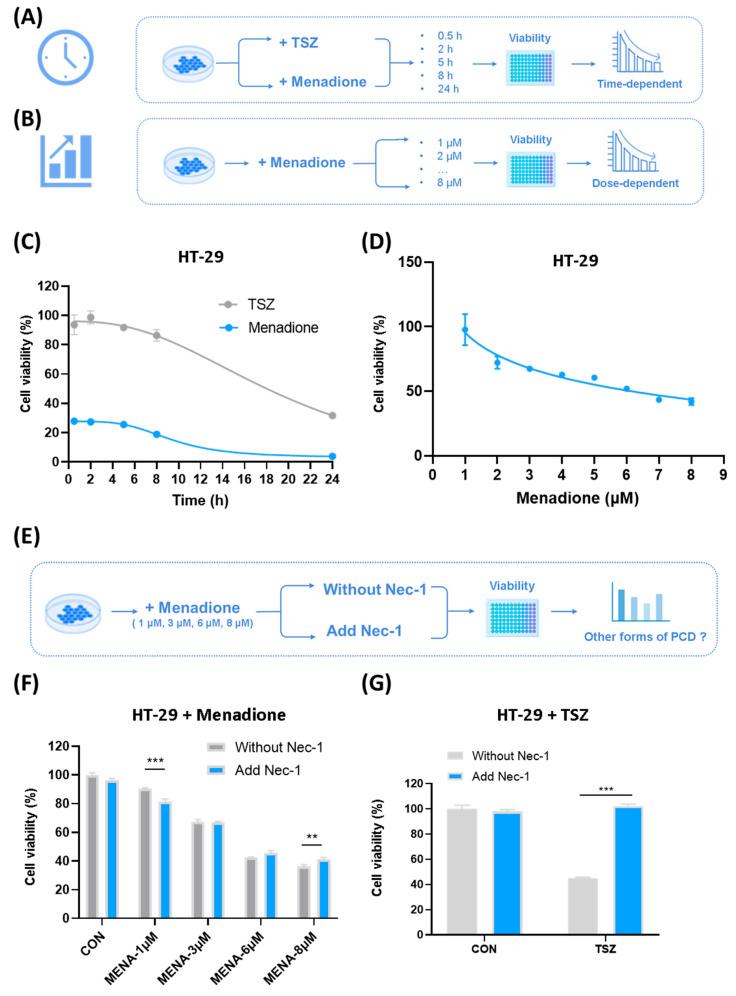 https://cdn.ncbi.nlm.nih.gov/pmc/blobs/2e5b/12389538/875c56a1b950/pharmaceuticals-18-01145-g003.jpg