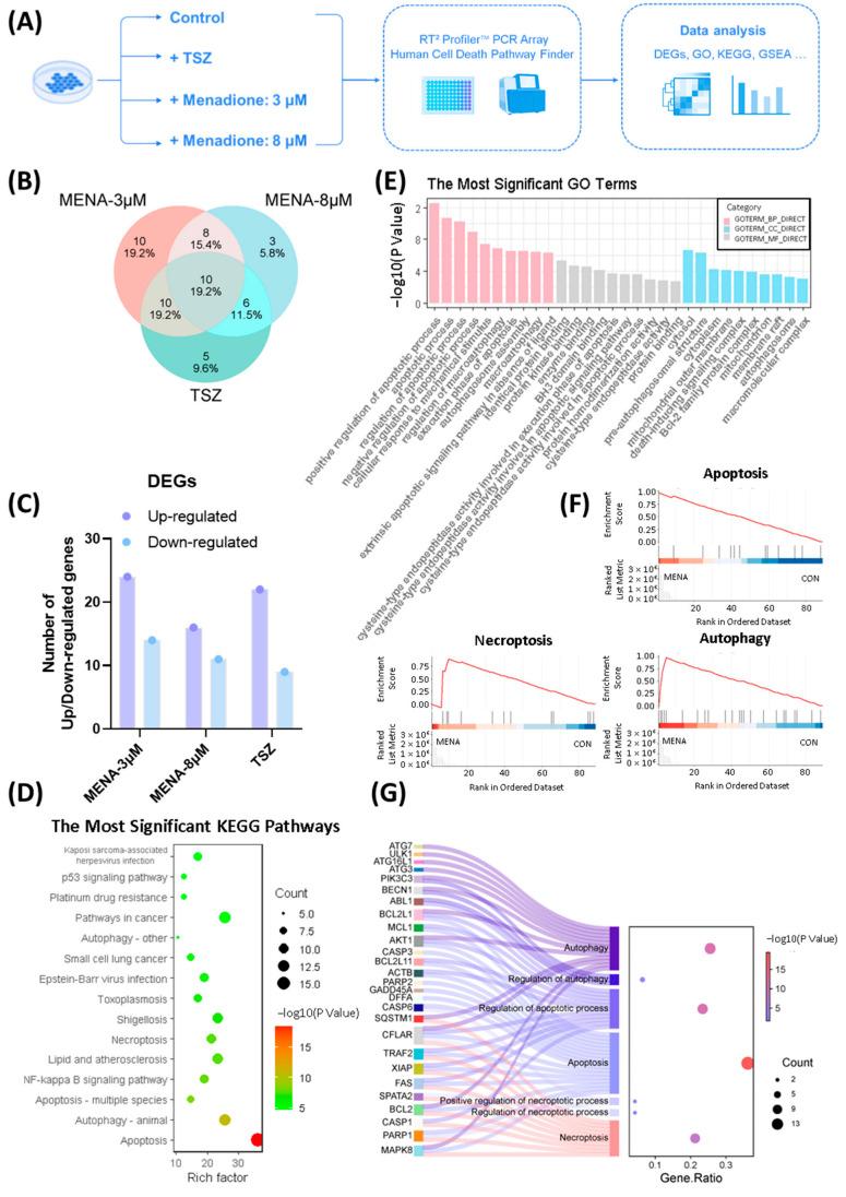 https://cdn.ncbi.nlm.nih.gov/pmc/blobs/2e5b/12389538/c56330cfbe56/pharmaceuticals-18-01145-g004.jpg