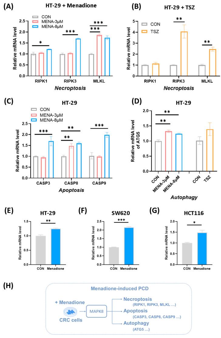https://cdn.ncbi.nlm.nih.gov/pmc/blobs/2e5b/12389538/ea5f304692f4/pharmaceuticals-18-01145-g006.jpg
