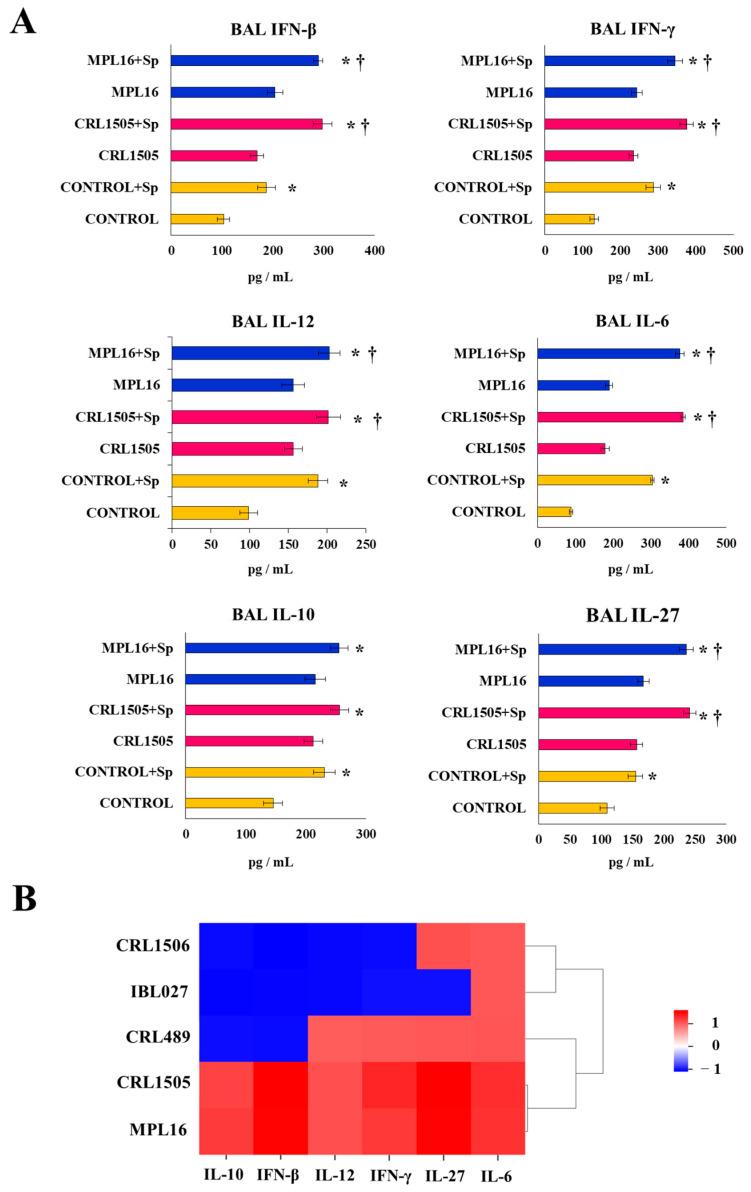 https://cdn.ncbi.nlm.nih.gov/pmc/blobs/2e6f/11674826/dc6df716f82c/biomolecules-14-01600-g003.jpg