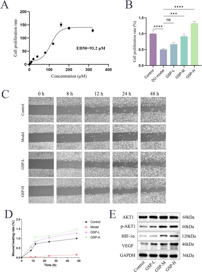 https://cdn.ncbi.nlm.nih.gov/pmc/blobs/2ea1/11897484/029aee6a3f11/fphar-16-1506499-g005.jpg