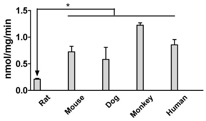 https://cdn.ncbi.nlm.nih.gov/pmc/blobs/2ea2/11676976/36345a0ffc26/molecules-29-05867-g005.jpg