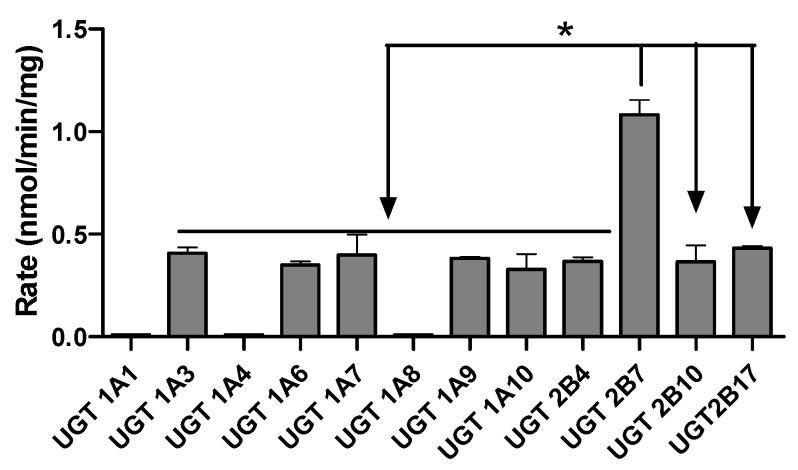 https://cdn.ncbi.nlm.nih.gov/pmc/blobs/2ea2/11676976/edaad75d5b9d/molecules-29-05867-g003.jpg