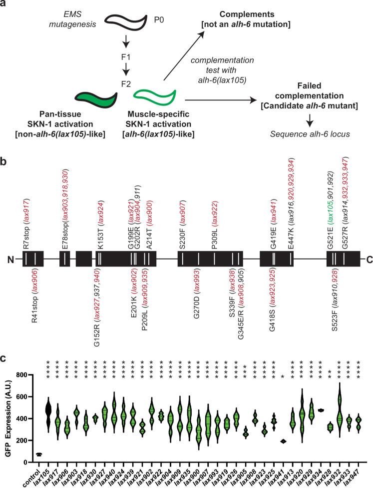 https://cdn.ncbi.nlm.nih.gov/pmc/blobs/2ea4/9106327/002d25331250/elife-74308-fig1.jpg