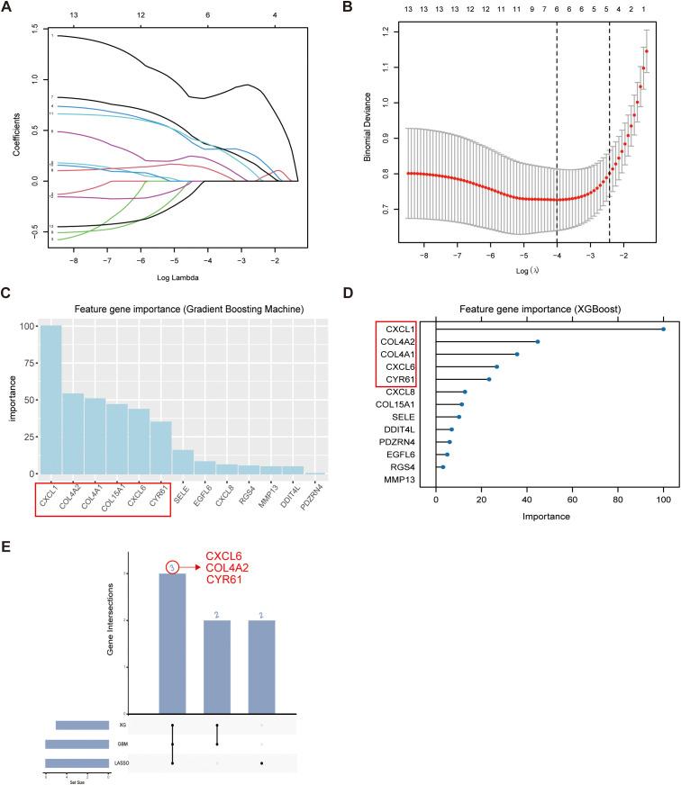 https://cdn.ncbi.nlm.nih.gov/pmc/blobs/2eb2/12176571/dba623c6db80/fimmu-16-1598642-g004.jpg