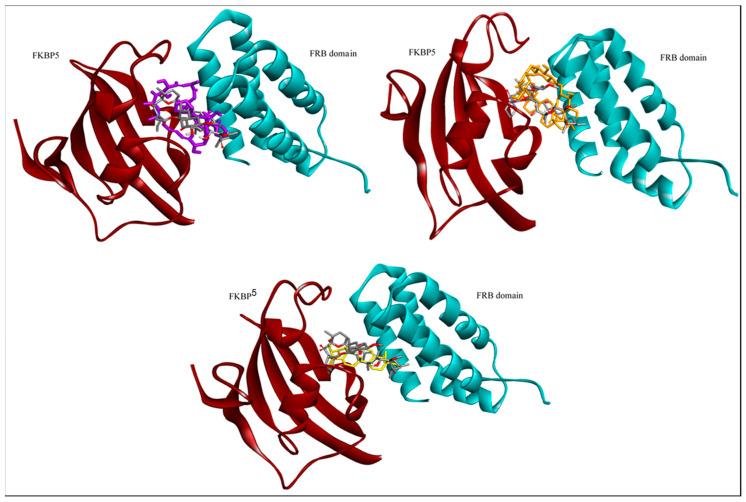 https://cdn.ncbi.nlm.nih.gov/pmc/blobs/2ec1/7504803/dcec9276003e/molecules-25-03991-g002.jpg