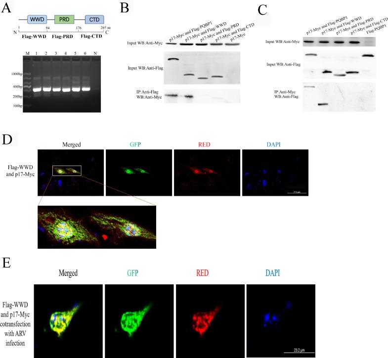 https://cdn.ncbi.nlm.nih.gov/pmc/blobs/2ed9/10345743/edcd54e072bc/gr1.jpg