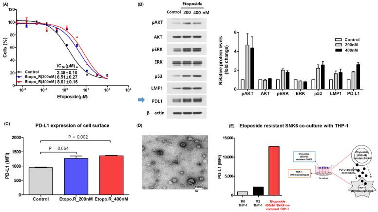 https://cdn.ncbi.nlm.nih.gov/pmc/blobs/2eeb/9688922/7bcd3ccb2644/cancers-14-05618-g001.jpg