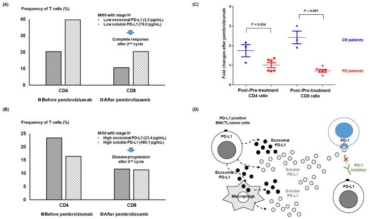 https://cdn.ncbi.nlm.nih.gov/pmc/blobs/2eeb/9688922/f3040c4faee0/cancers-14-05618-g005.jpg